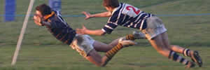 Rugby