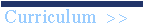 Curriculum